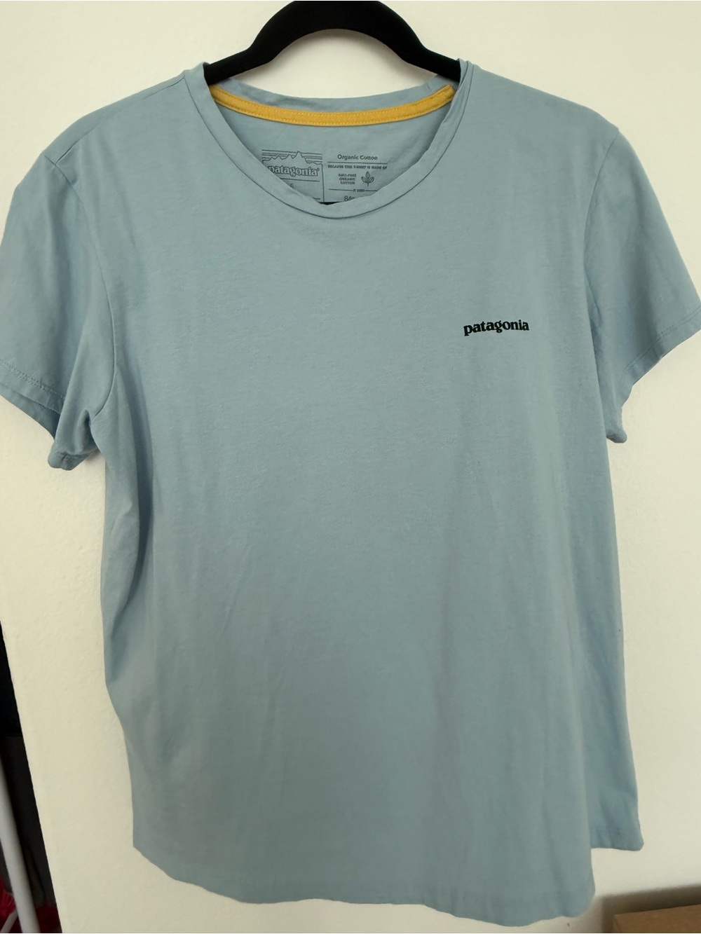 Patagonia Light Blue Women’s Short Sleeve Tee with Chest Logo